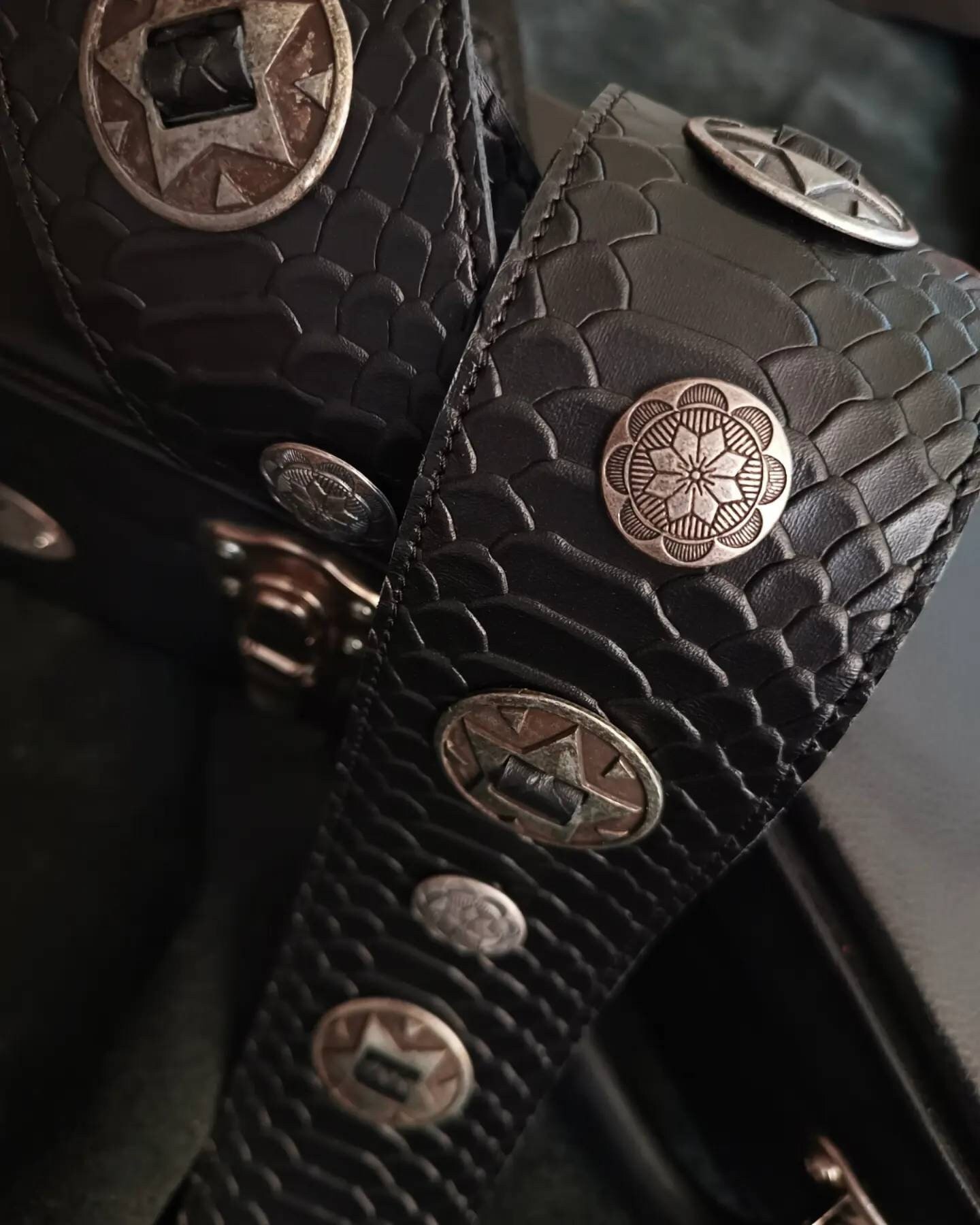 CORNELL FUSION ANACONDA